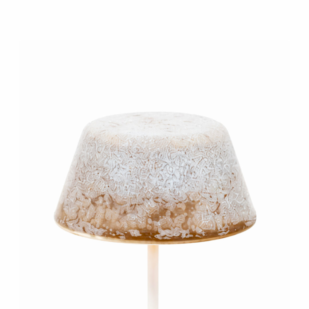 Cúpula de Cerâmica para Swap Mini