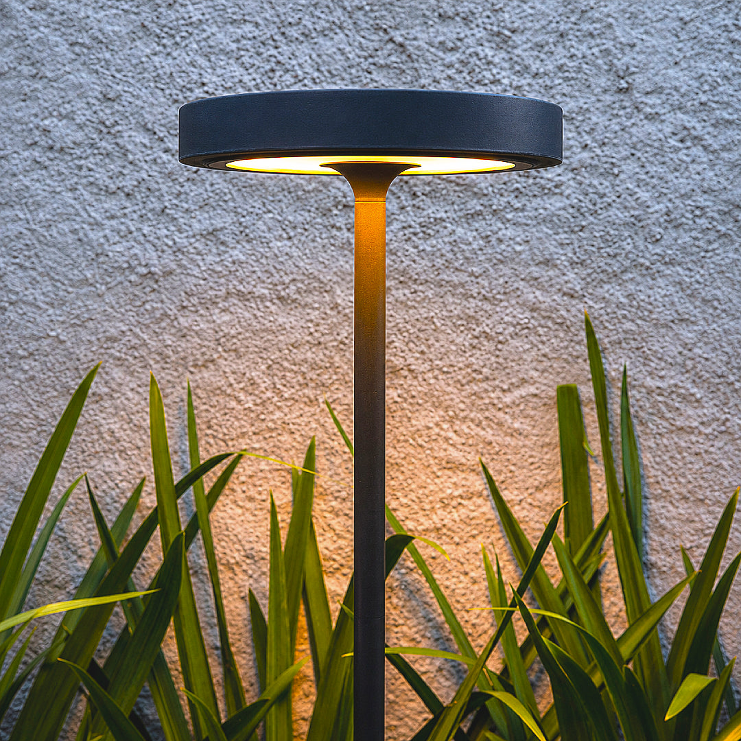 Barbell Solar RF