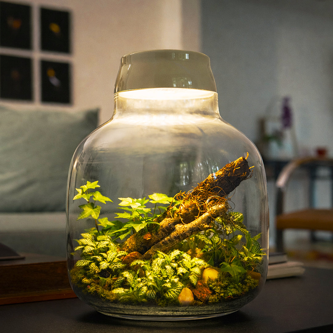 Zaff Design By Zafferano + FLO atelier botânico