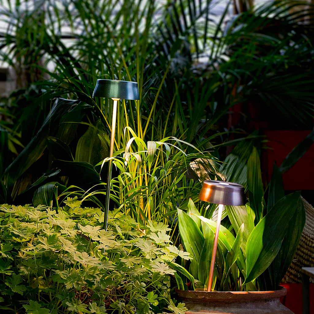Lina garden Luminária Sister Light Garden Wi-fi