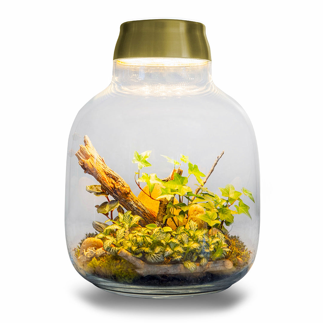 Zaff Design By Zafferano + FLO atelier botânico