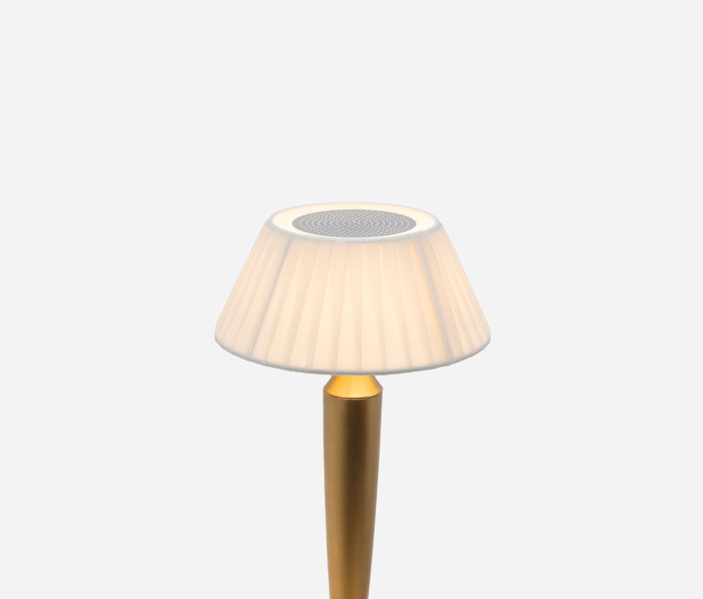 Flaminia PRO